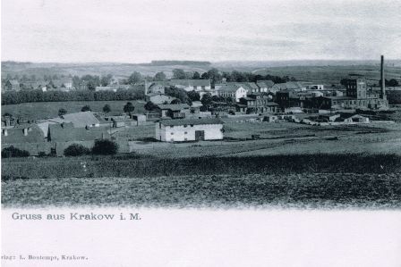 Exhibition Image 3